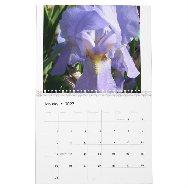 Calendrier Iris dans le jardin (Jan 2027)