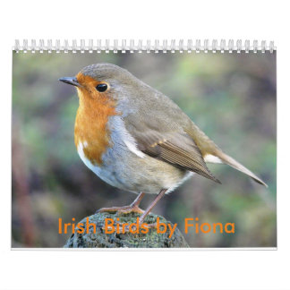 Calendrier irlandais d'oiseaux