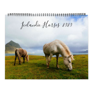 Calendrier Islandais Horses Faune Photographie Année Personna