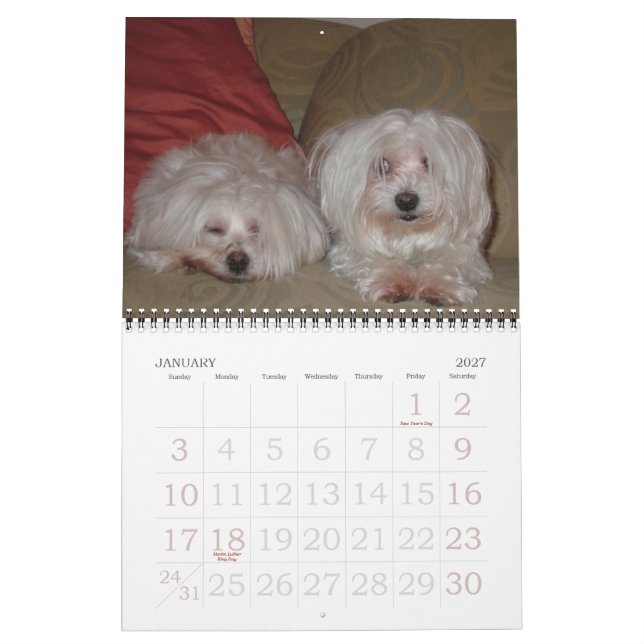 Calendrier Jackie & Sassy's Wild & Krazy Adventures (Jan 2027)