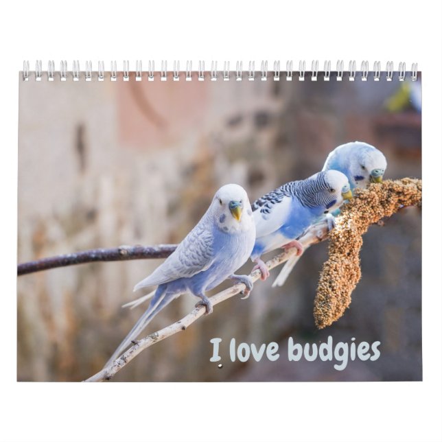 Calendrier J'adore les perruches - clichés des petits oiseaux (Protection)