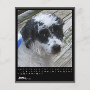 calendrier janvier 2012