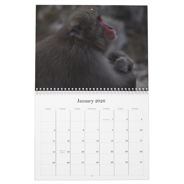 Calendrier japonais de Macaques (Jan 2026)