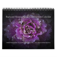 Jardin Fleurs No 42 Version couleur