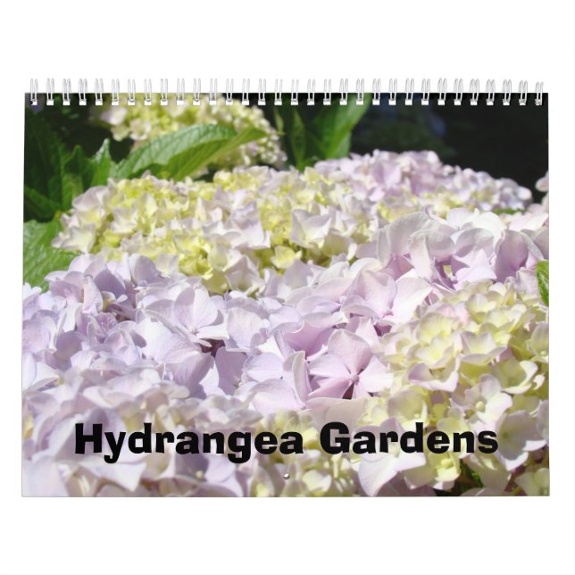 Calendrier Jardins bleus d'hortensia de rose de photographie (Protection)