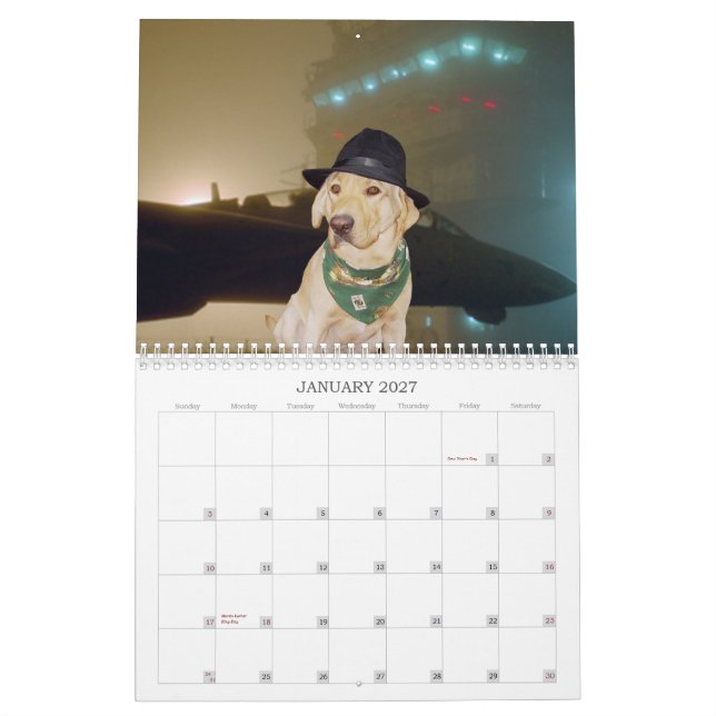 Calendrier jaune de laboratoire - 2013 (Jan 2027)