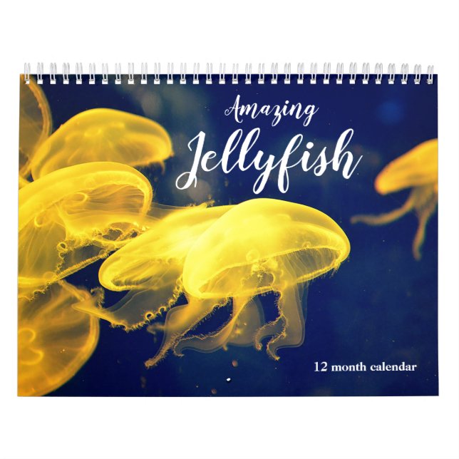 Calendrier Jellyfish Extraordinaire 2026 (Protection)