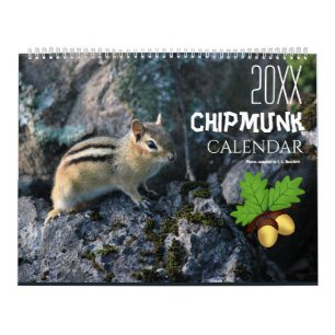 Calendrier Joli écureuil rayé faune animal  