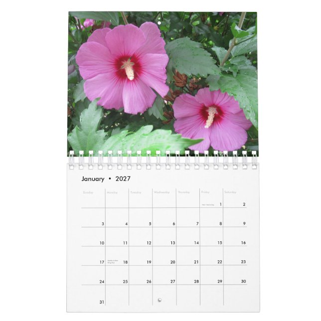 Calendrier Jolie photo de fleurs (Jan 2027)