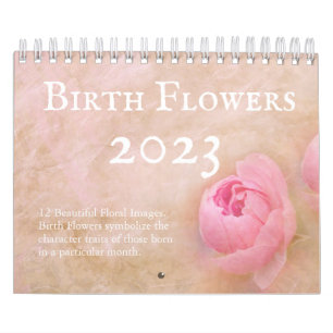 Calendrier Jolies fleurs de naissance 12 mois