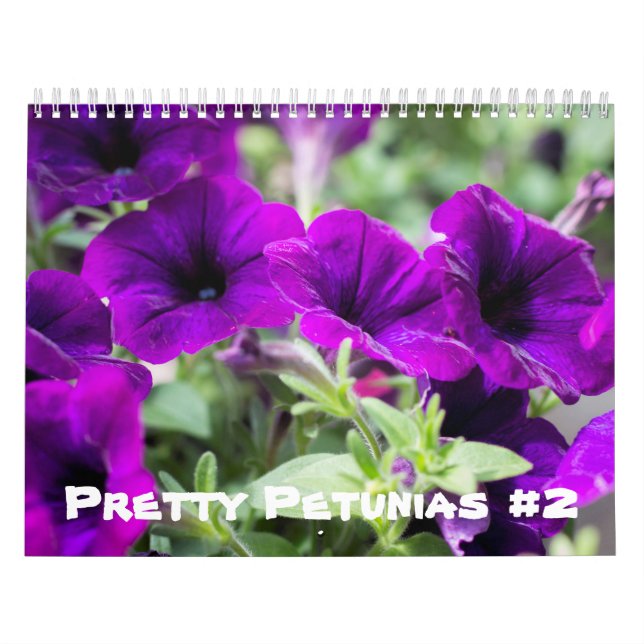 Calendrier - Jolies Petunias #2 (Protection)