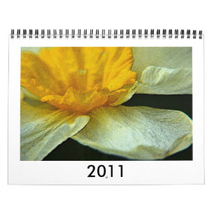 Calendrier Jonquilles