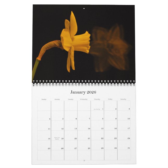 Calendrier Jonquilles (Jan 2026)