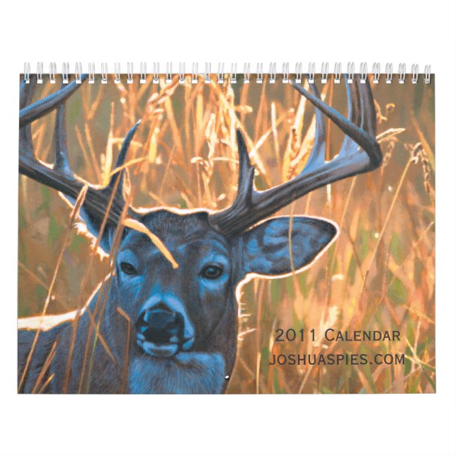 Calendrier Joshua Spies 2011 (Protection)