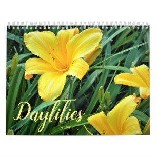 Calendrier journalier