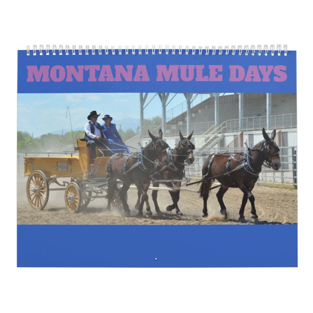 Calendrier Jours de mule du Montana (Protection)