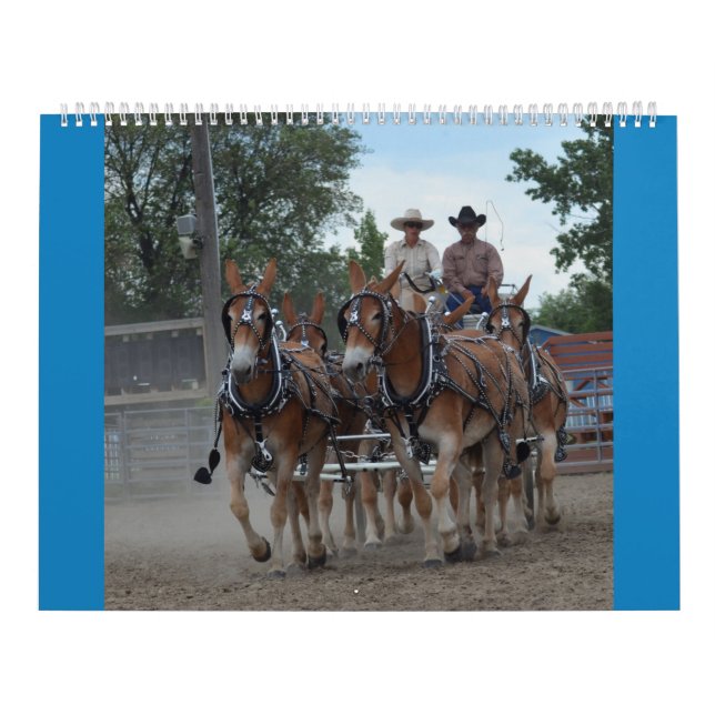Calendrier Jours de mule du Montana (Protection)