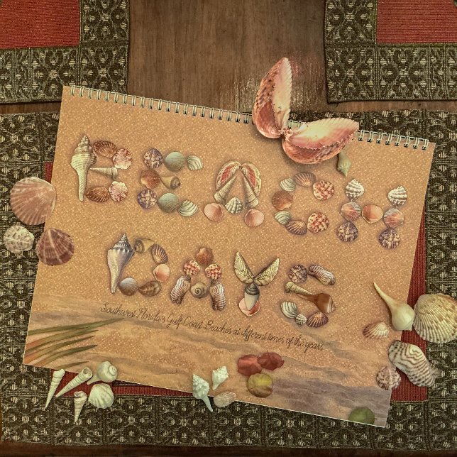 Calendrier Jours de Plage, Différentes Vues (These are some of the sea shells we collected to make this artwork.)