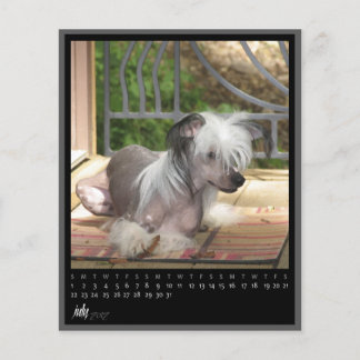 calendrier juillet 2012