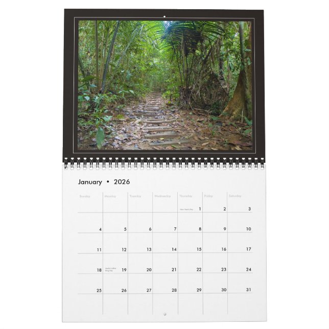 Calendrier JUNGLE - 2010, beaux paysages… (Jan 2026)