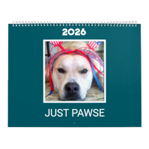Calendrier 'Just Pawse – 2026' Photo de chien Minimaliste Sar