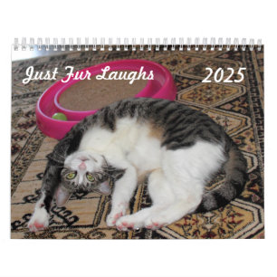 Calendrier Juste Quatre Rires