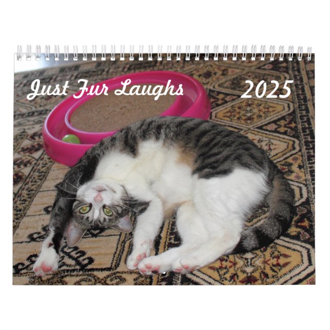 Calendrier Juste Quatre Rires (Protection)