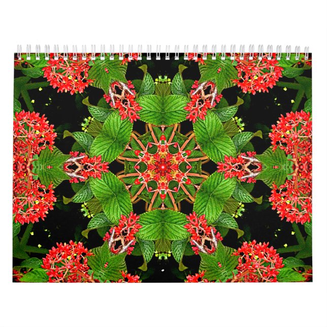 Calendrier Kaleidoscopes (Protection)