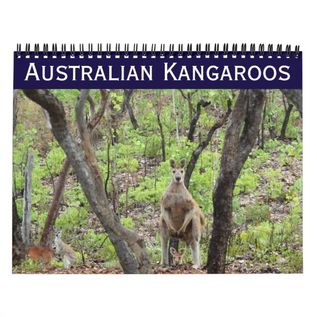 Calendrier kangourous australiens 2026 (Protection)