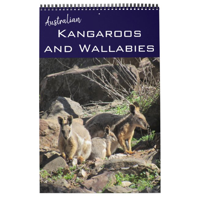 Calendrier kangourous wallabies 2026 (Protection)
