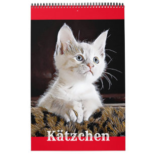 Calendrier KÄTZCHEN KATZEN WELPEN - Kalender