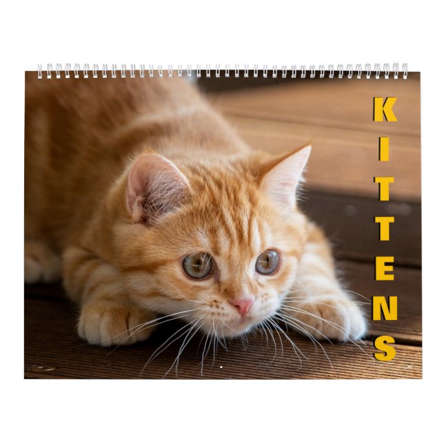 Calendrier Kittens (Protection)