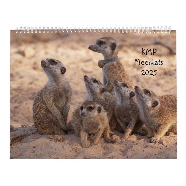 Calendrier KMP Meerkat 2025 (Protection)