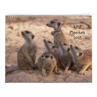 Calendrier KMP Meerkats 2025