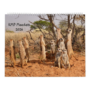 Calendrier KMP Meerkats 2026