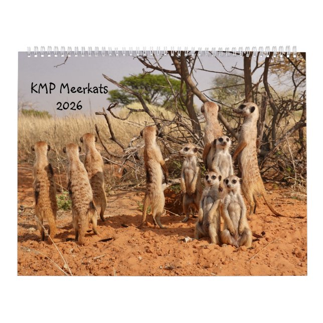 Calendrier KMP Meerkats 2026 Calendar (Protection)