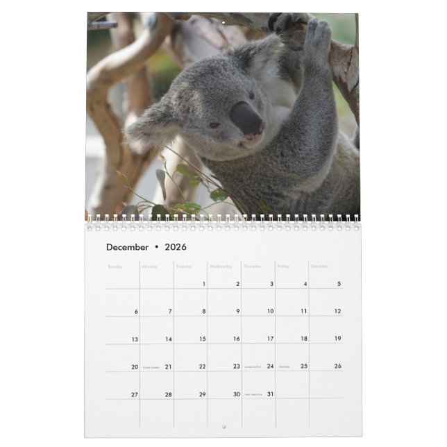 Calendrier Koala (Dec 2026)