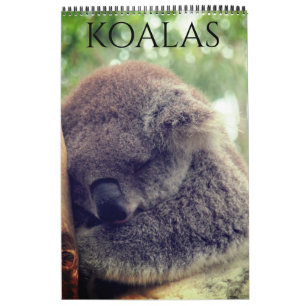 Calendrier koalas australiens 2025