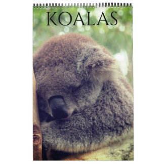 Calendrier koalas australiens 2027