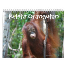 Krista Orangutan