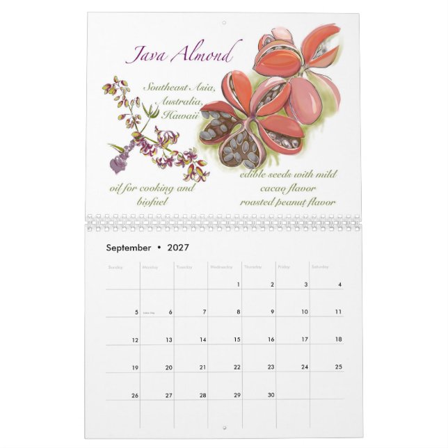 Calendrier Kwaj 2025 (Sep 2027)