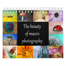 La beauté de la macro photographie