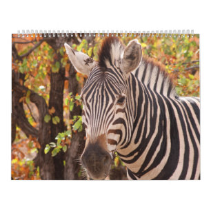 Calendrier La beauté de l'Afrique