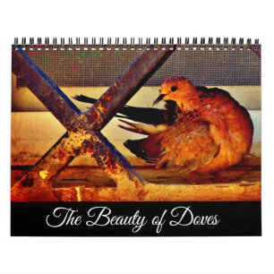 Calendrier La beauté des colombes