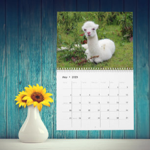 Calendrier La coutume Llama et Alpaca Any Year