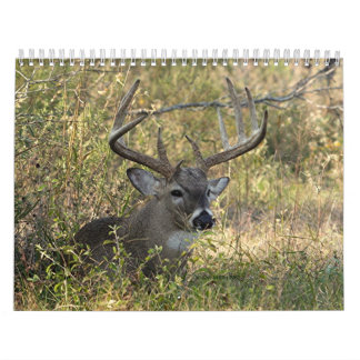 Calendrier La faune 2008 de Henry - customisée