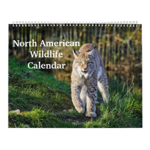 Calendrier La faune nord-américaine