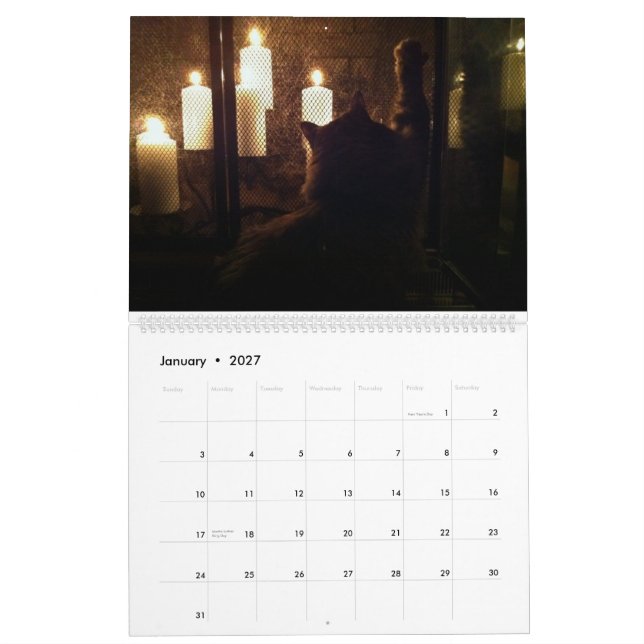 Calendrier La Grande Menace De Chat (Jan 2027)