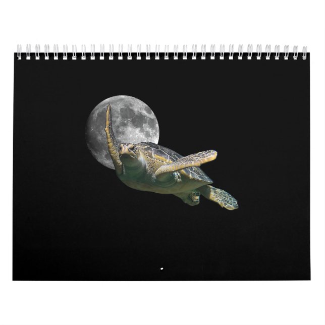 Calendrier La Lune cosmique La tortue de mer Nager dans l'esp (Protection)