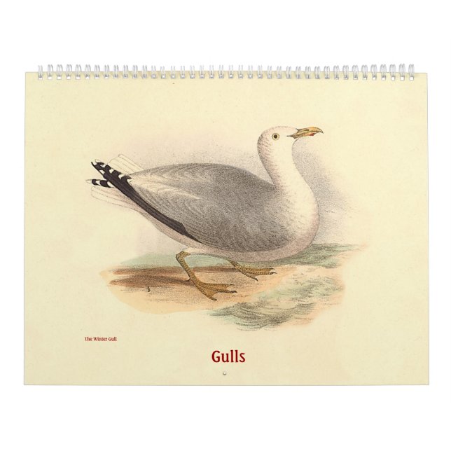 Calendrier La mouette lithographie - des oiseaux de New York (Protection)